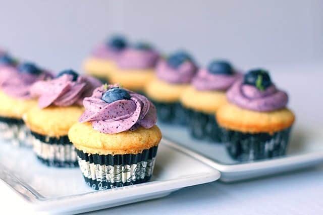 two trays of lime blueberry cupcakes in a straight row