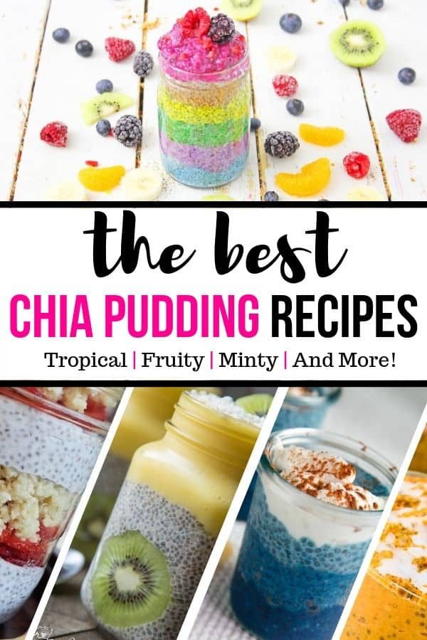 12 of The Chia Pudding Recipes