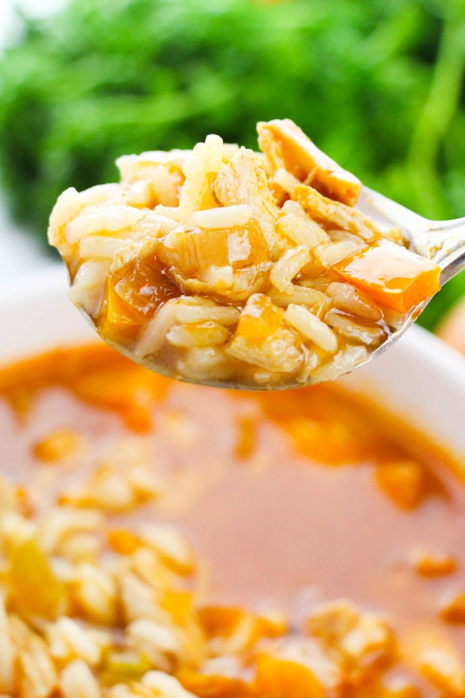 spoon with rice and chicken cajun soup in it 