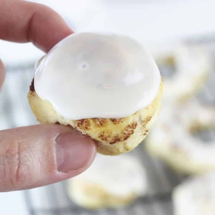 Instant Pot Duo Crisp, plus air fryer canned cinnamon roll donuts