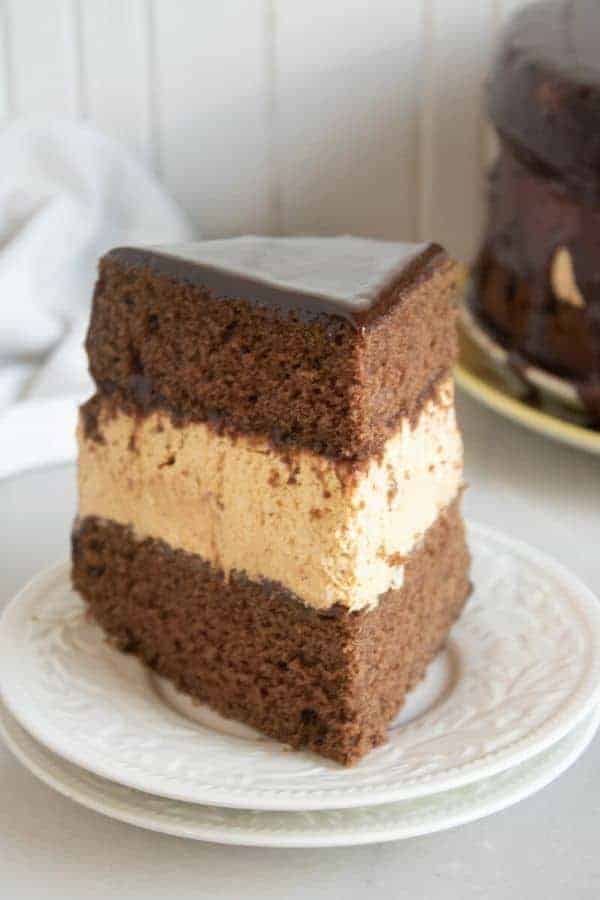 Chocolate Pumpkin Cheesecake Cake