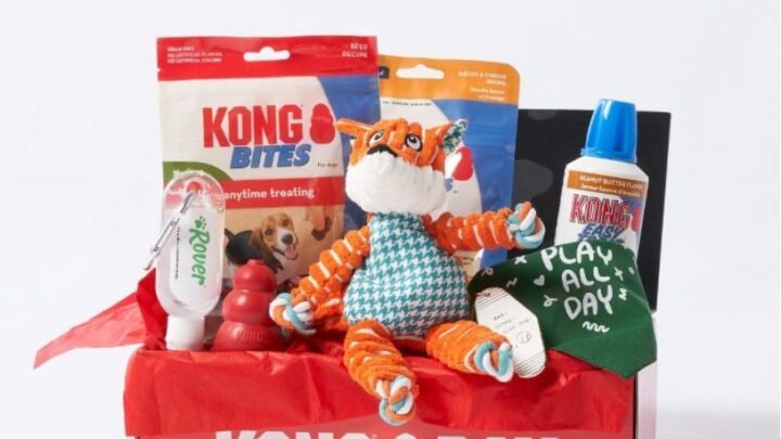 Christmas Gift Guide For The Whole Family