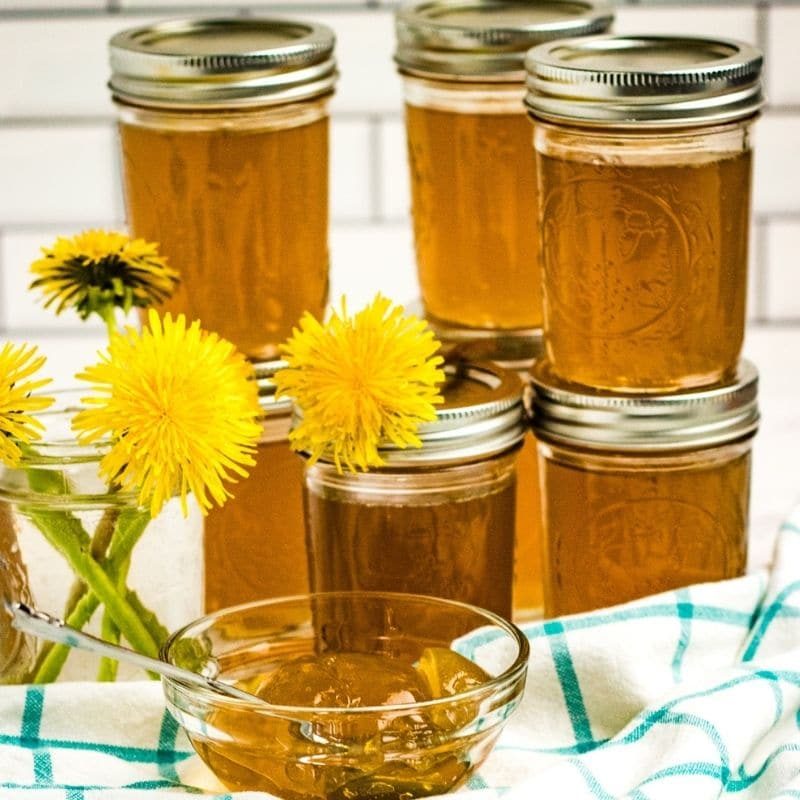 Canning Dandelion Jelly