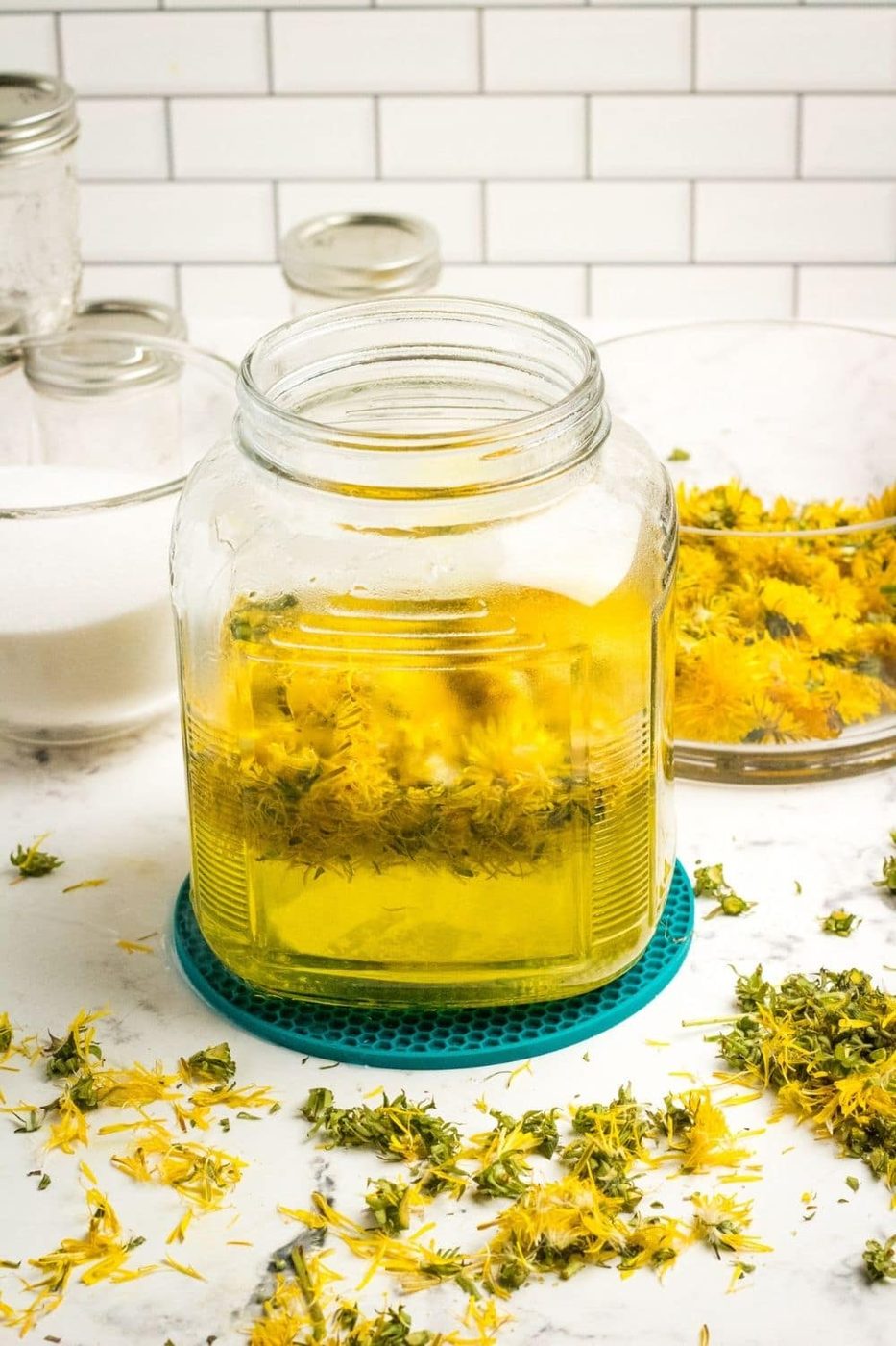 dandelion tea in a jar on counter 