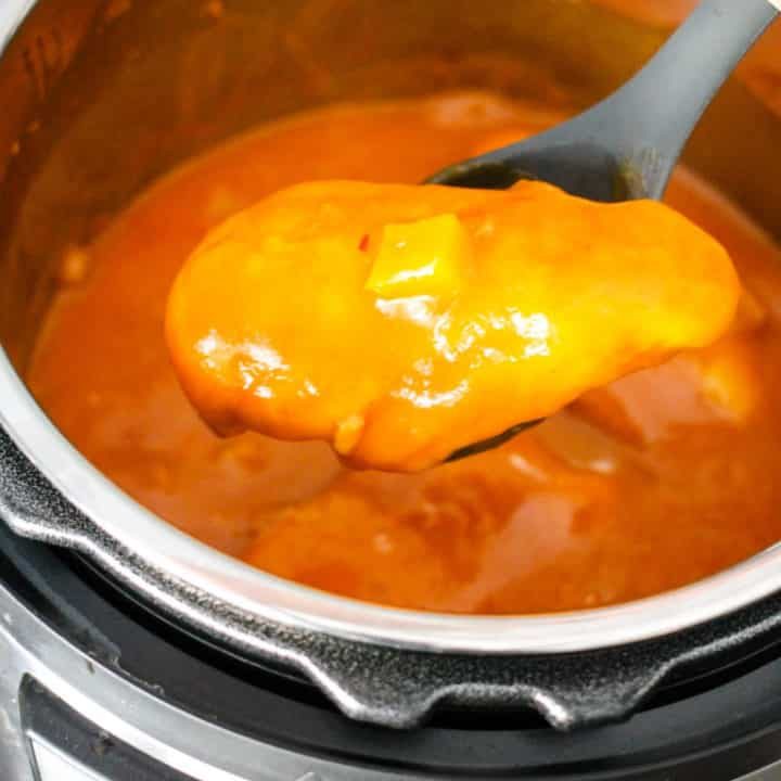 Frozen Chicken Instant Pot Recipes To Try