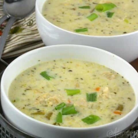 Frozen Chicken Instant Pot Recipes To Try
