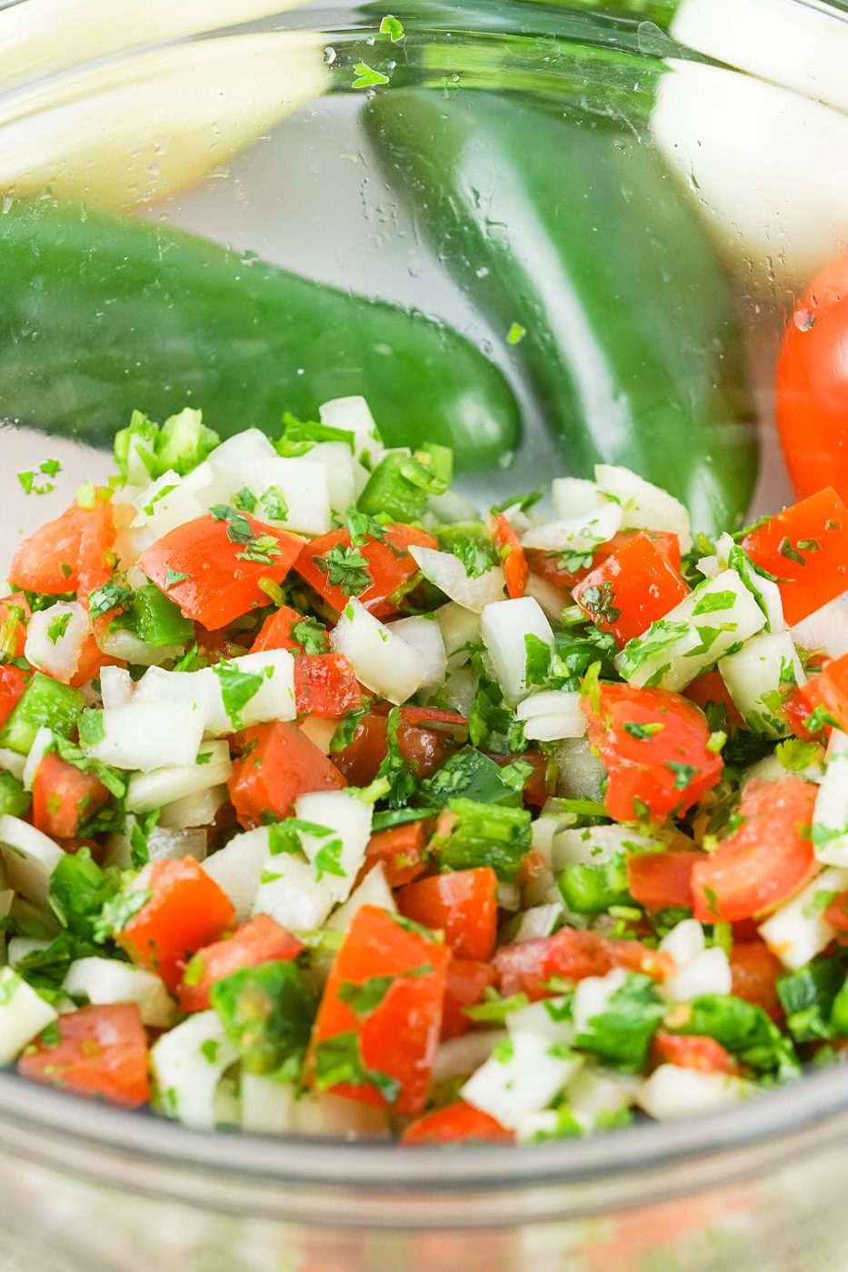 bowl of chopped onions, tomatoes, peppers, cilantro