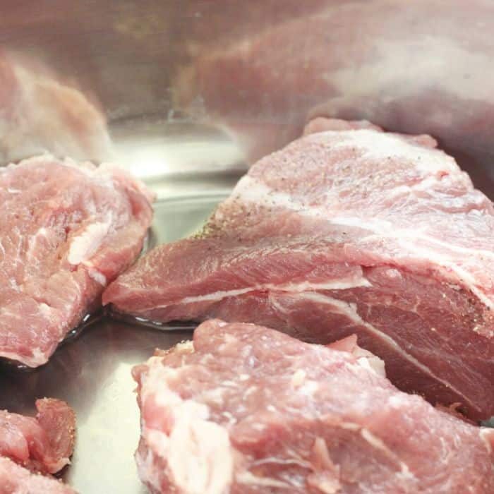boston butt carnitas