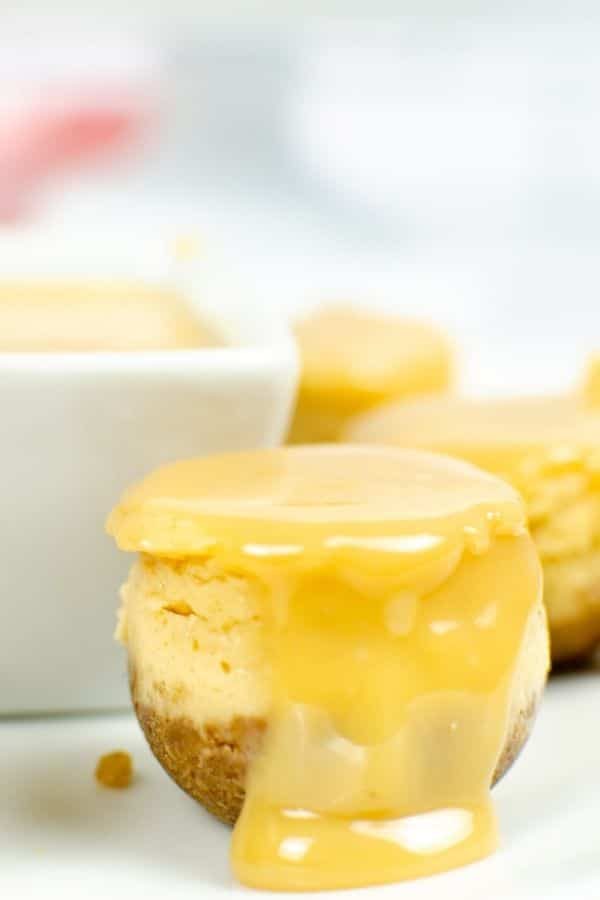 Mini Instant Pot Dulce De Leche Cheesecake Bites