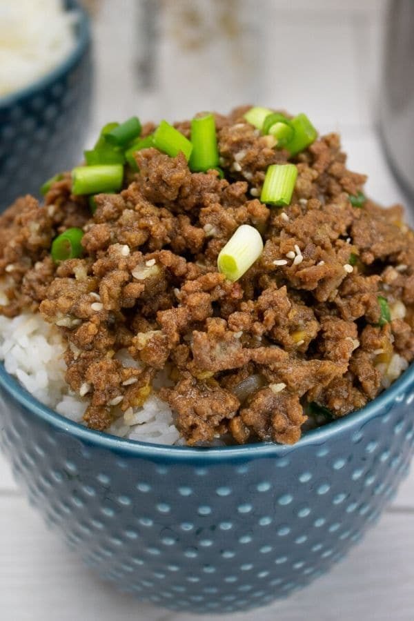 44 Of The BEST Instant Pot Meals To Serve Up Your Family