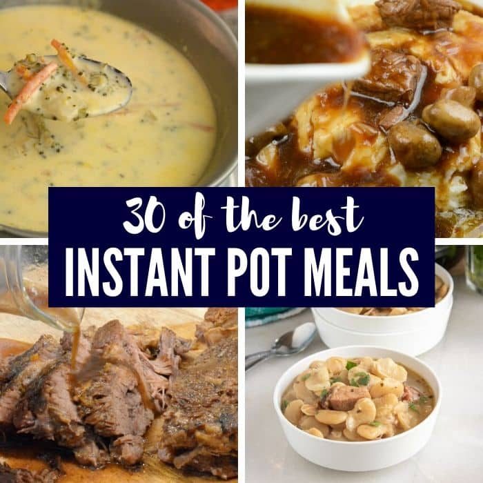 44 Of The Instant Pot Meals To Serve Up Your Family