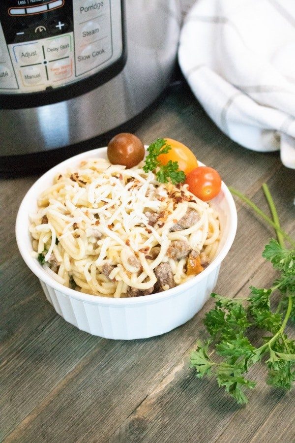 44 Of The BEST Instant Pot Meals To Serve Up Your Family