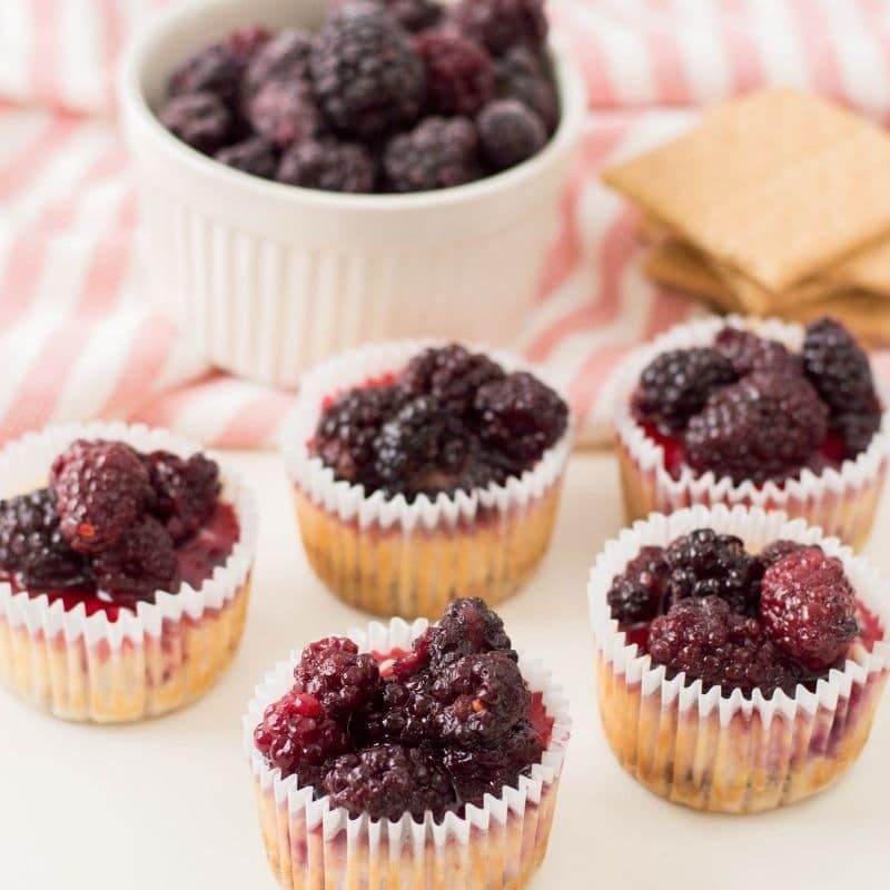 Mini Cheesecakes and Blackberries