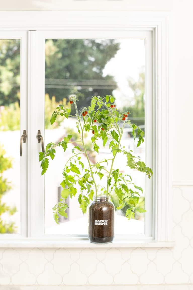 Mother’s Day Gift Guide To Make Her Feel Special