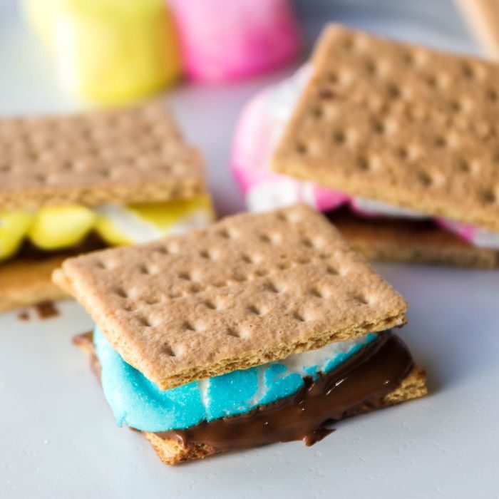Peeps S’mores Microwave or Oven