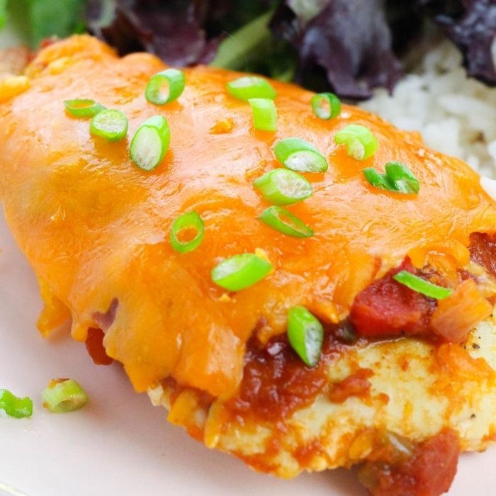 Salsa Chicken