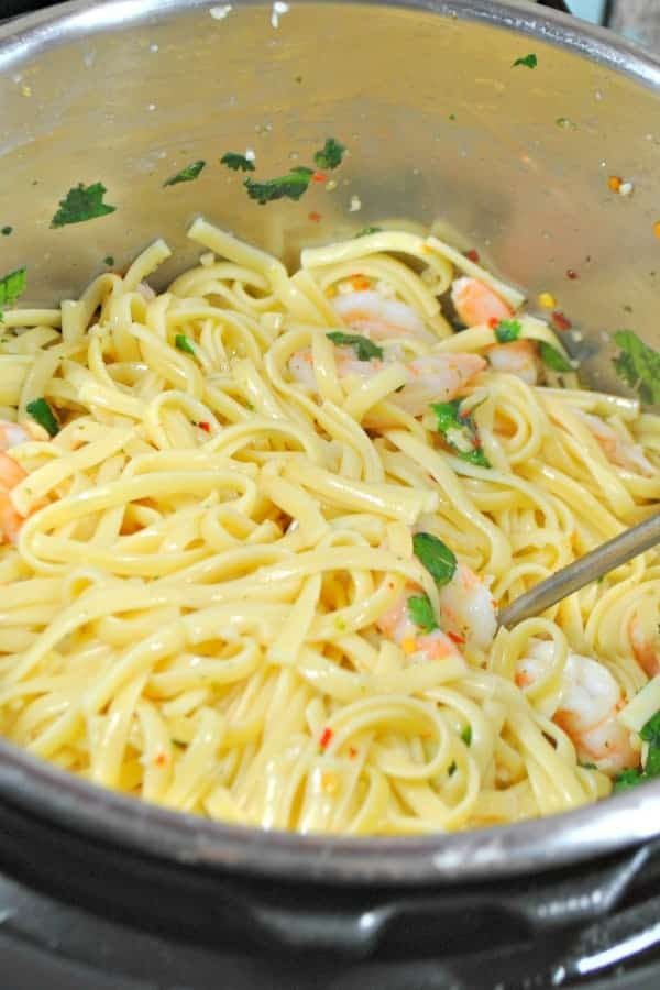shrimp pasta recipes