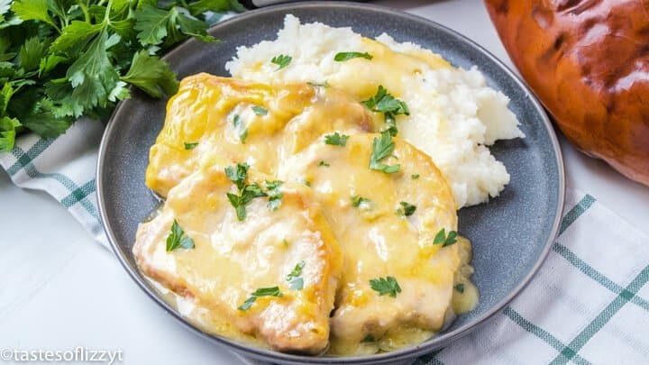 33+ Of The Best Slow Cooker Dinner Recipes