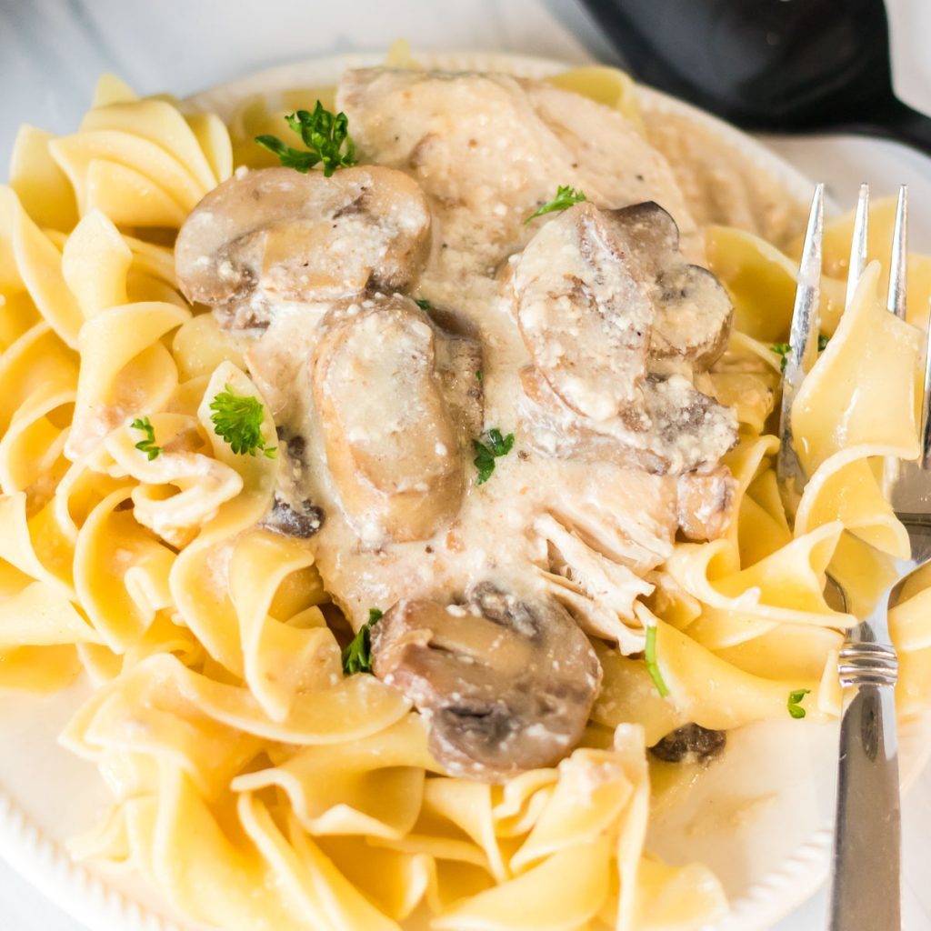 33+ Of The Best Slow Cooker Dinner Recipes
