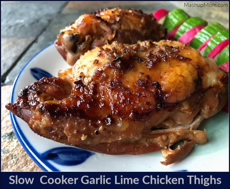 33+ Of The Best Slow Cooker Dinner Recipes