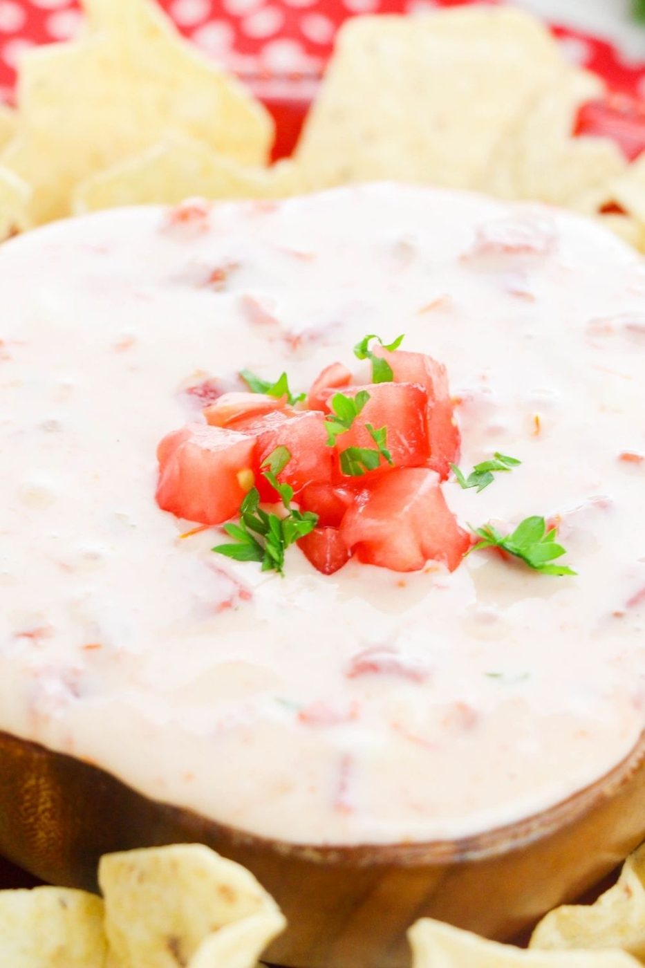warm cheese dip with tomatoes on top 