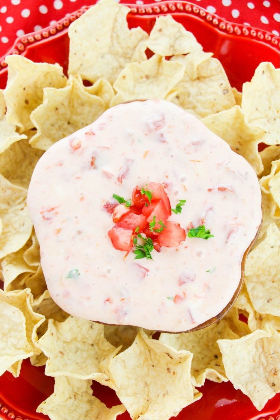 easy cheese dip with chips around it 