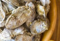 Mastering Oyster Shucking