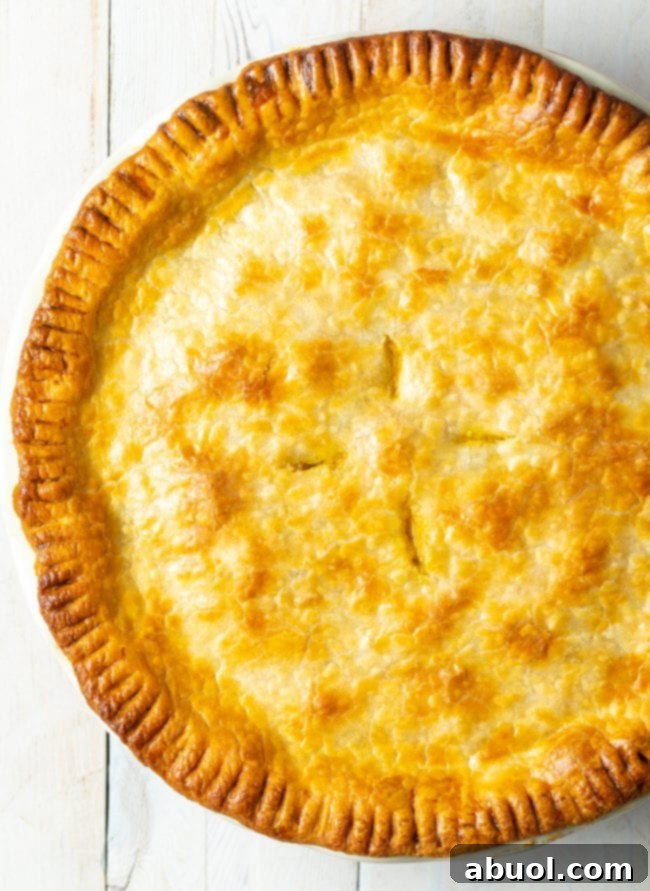 Overhead shot of a whole vegetable pot pie with a perfectly golden, flaky crust, fresh out of the oven, ready to be sliced.