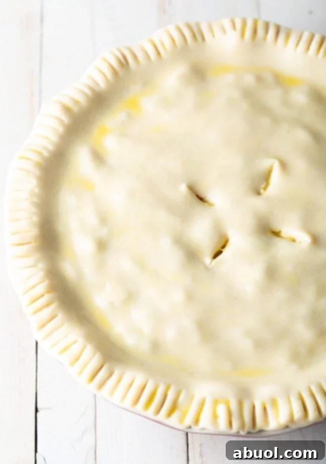 An uncooked pie crust carefully placed in a pie pan and brushed with an egg wash, showcasing its readiness for baking and golden perfection.