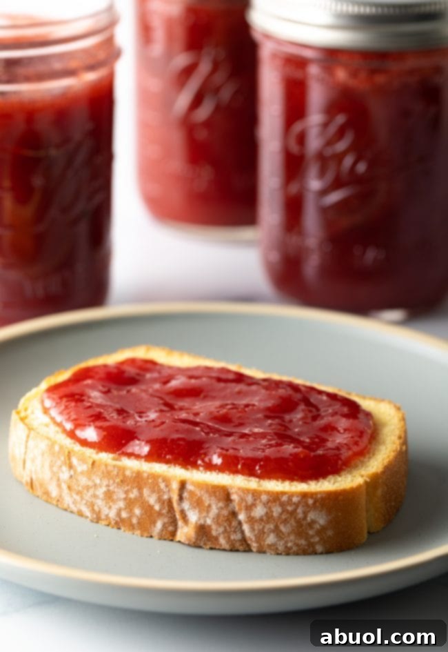 a plate with perfectly toasted bread topped generously with homemade strawberry rhubarb jam