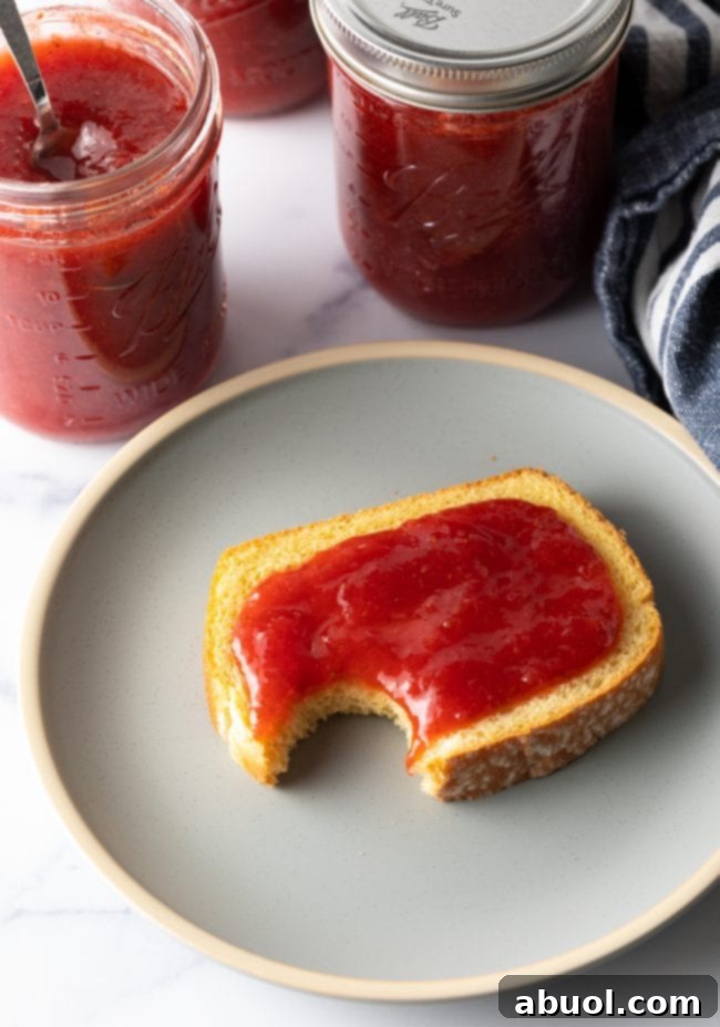 delicious toast generously topped with homemade strawberry rhubarb jam