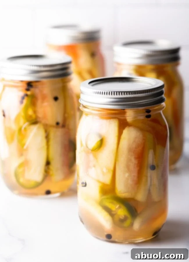 Four glass jars, tightly sealed and filled with vibrant pickled watermelon rinds, ready for chilling.