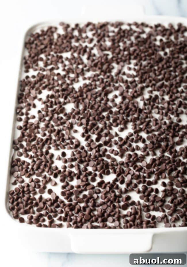 A beautifully presented slice of chocolate lasagna topped with an abundance of mini chocolate chips, ready for serving.