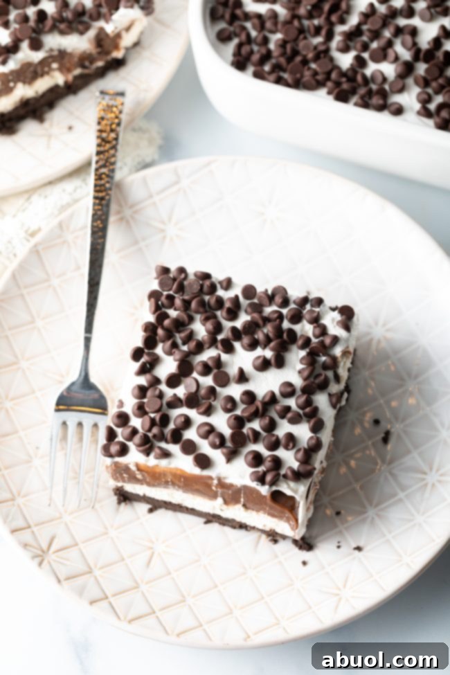 Overhead view of a finished layered pudding cake with mini chocolate chips scattered on top.