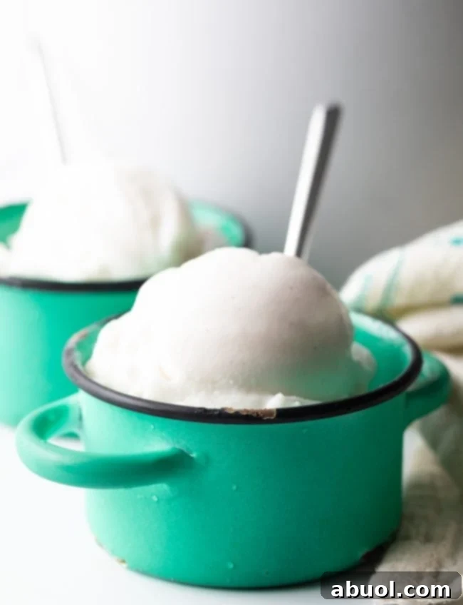 Two small serving bowls filled with homemade coconut milk ice cream, garnished and ready to enjoy.