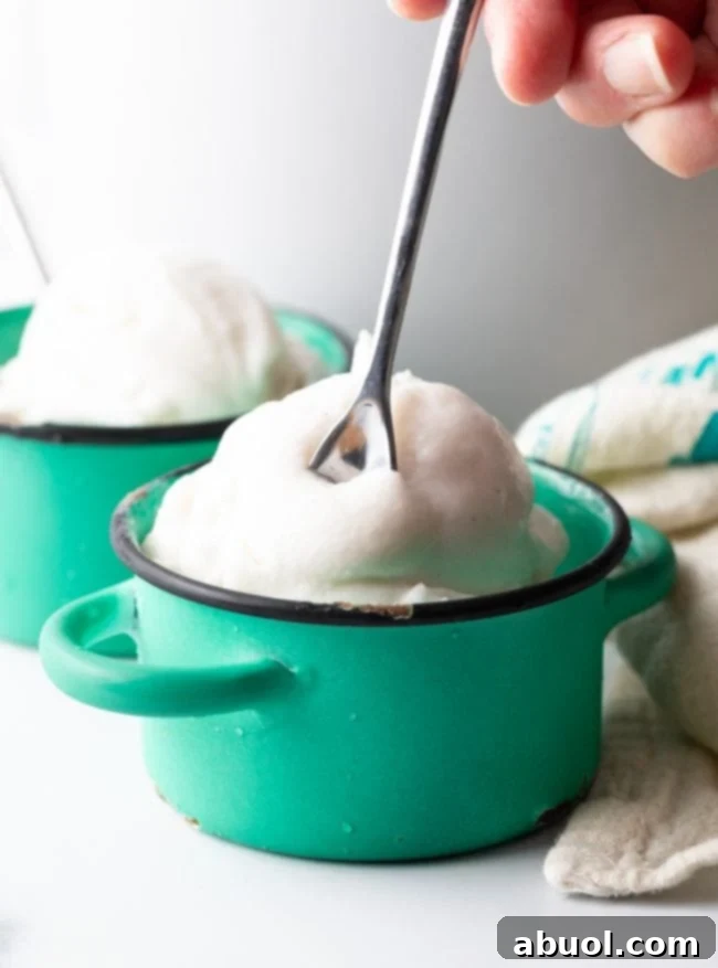 A small bowl of creamy coconut milk ice cream with a spoon scooping out a perfect portion, emphasizing its smooth texture.