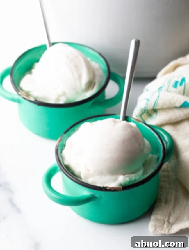 Two generous servings of creamy dairy-free coconut milk ice cream in bowls, topped with fresh berries and ready to eat.