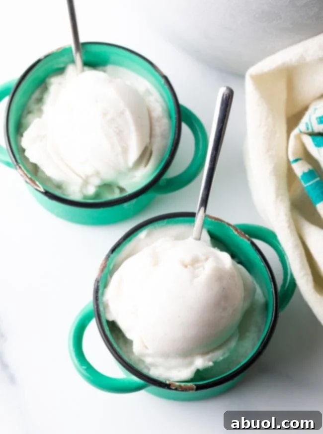 Overhead view of two clear cups filled with creamy homemade vanilla coconut milk ice cream, ready for toppings.
