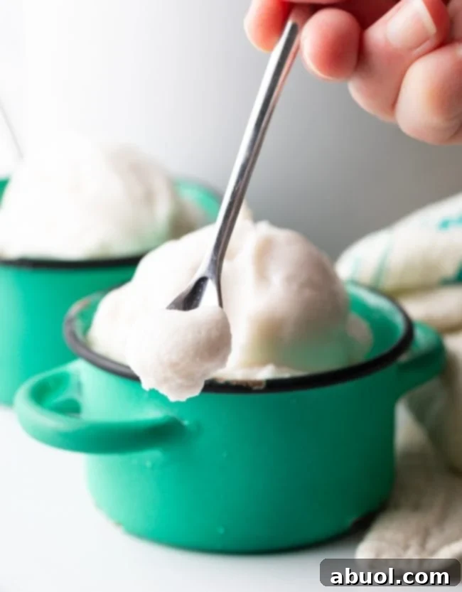 A scoop of rich, creamy coconut milk ice cream perfectly balanced on a spoon, ready to be enjoyed.