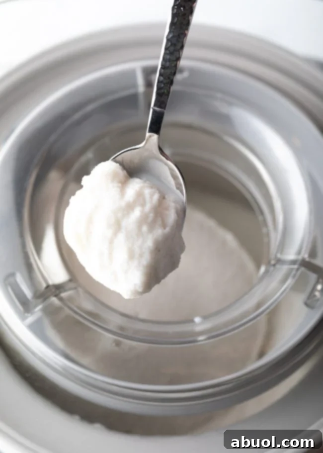 A scoop of creamy coconut ice cream resting on a spoon above the ice cream maker, showcasing the perfect texture.