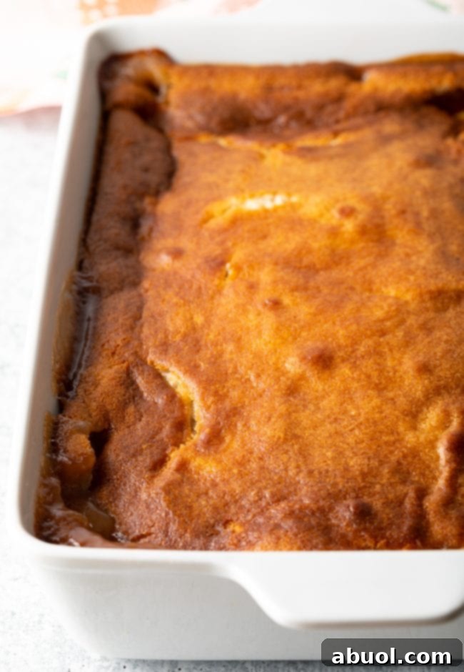 Freshly baked Bisquick peach cobbler, golden and bubbling