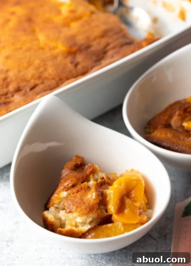A serving of Bisquick peach cobbler topped with vanilla ice cream