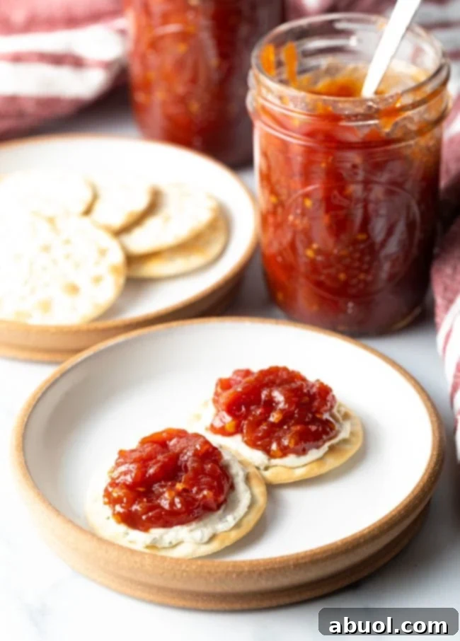 Two golden crackers topped with creamy cheese and a dollop of vibrant tomato jam, artfully arranged on a white plate.