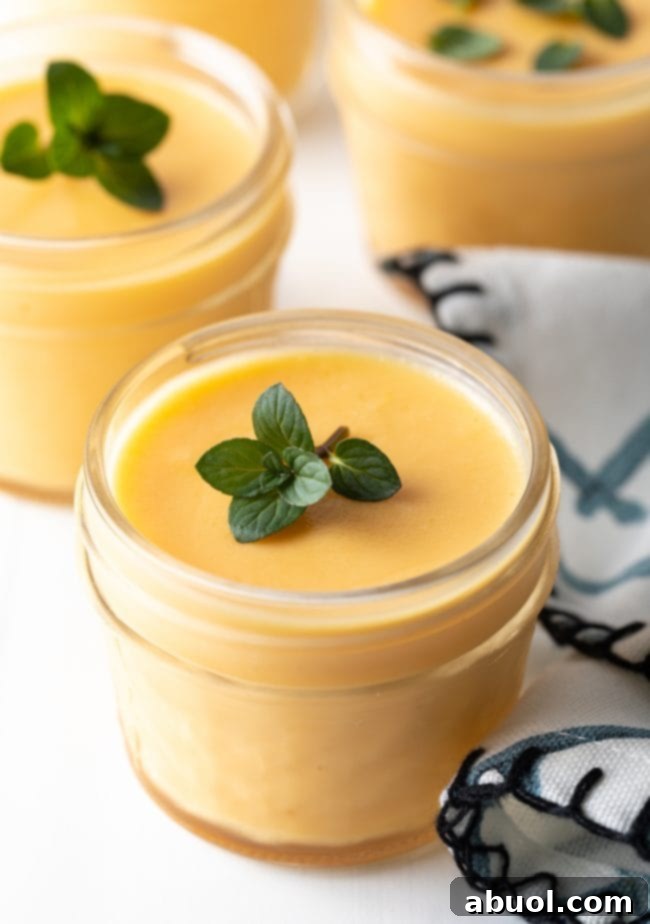 Close-up shot of a single serving of creamy, pale yellow dairy-free mango pudding, showing its smooth texture.