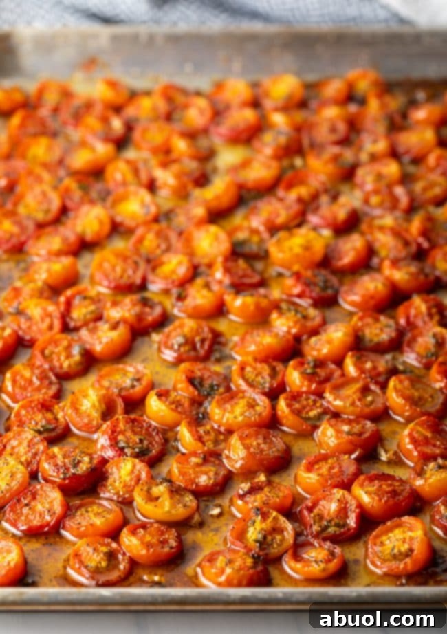 Side view of oven roasted tomatoes on baking sheet.
