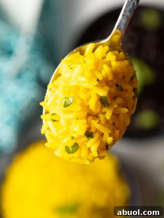 A spoonful of yellow rice. 