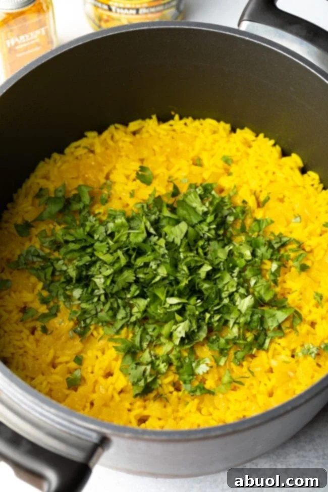 Yellow rice topped with fresh cilantro. 