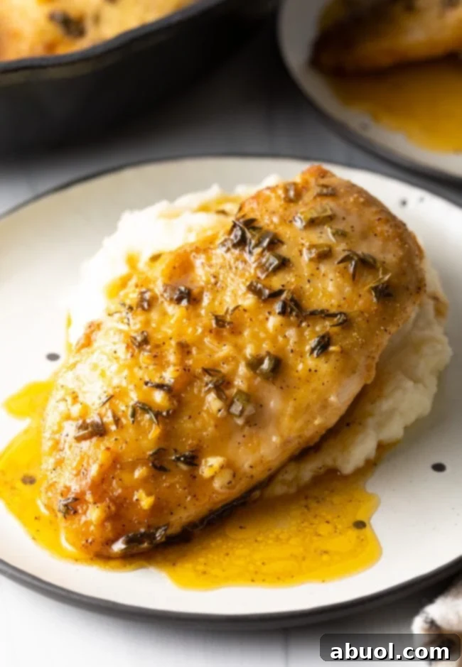 french chicken breast with garlic and lemon on a bed of mashed potatoes on a white plate.