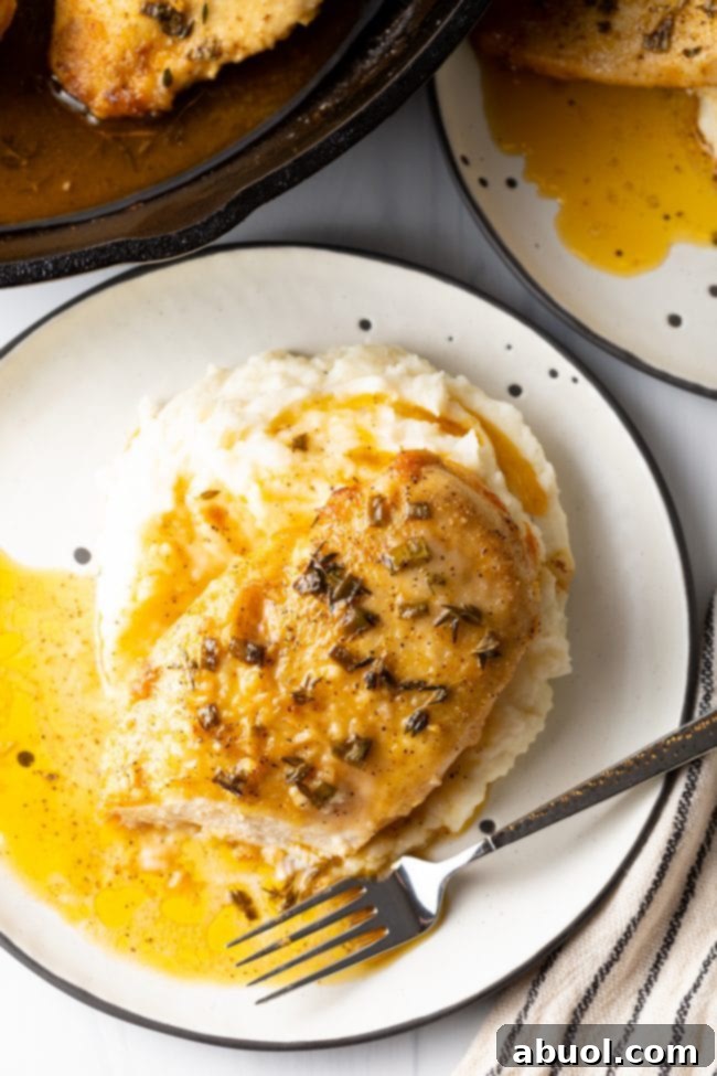 overhead top view oven baked french chicken breasts on white plates with fork