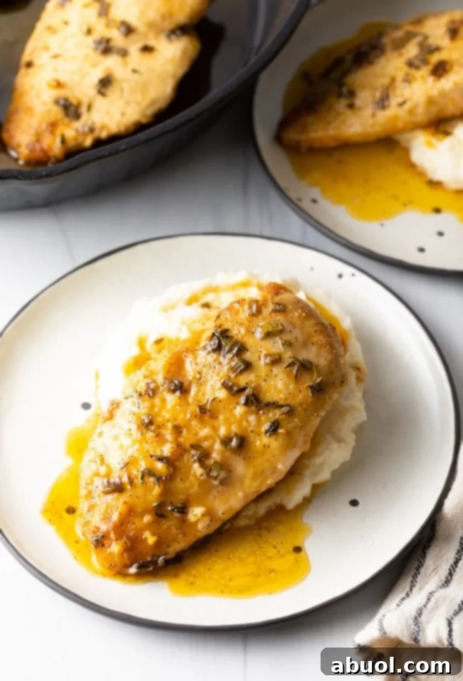 overhead top view of oven baked lemon garlic French chicken breasts on mashed potatoes, on two plates with cast iron skillet in the background